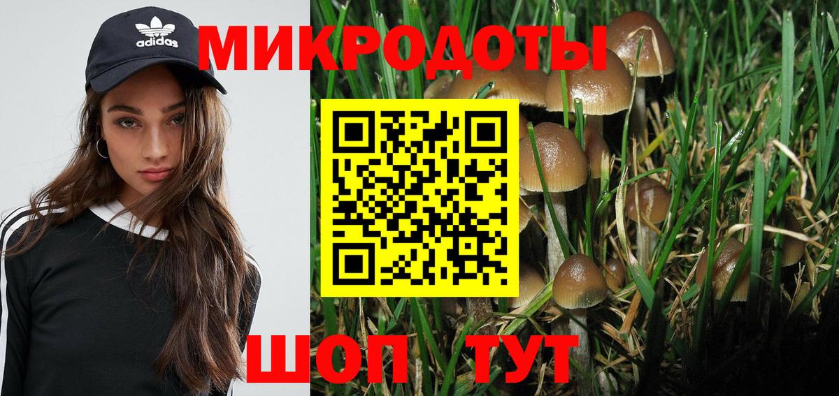 Псилоцибиновые грибы MAGIC MUSHROOMS Карталы