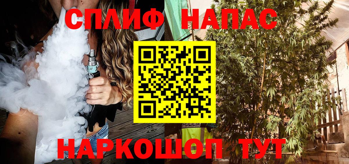 Конопля планчик Карталы